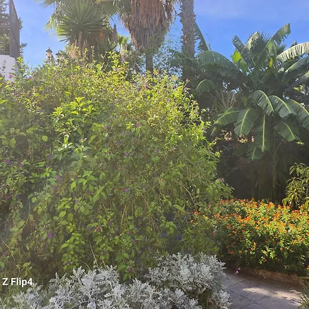 Pensión Deluxe Athos 50 Mp Garden Patio Golf & Benalmádena